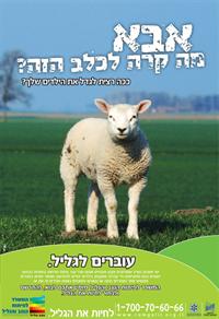 אבא מה קרה לכלב הזה !?
