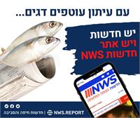 אתר חדשות NWS