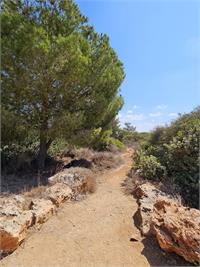רמת הנדיב באדיבות רמת הנדיב