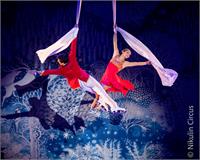 מפצח האגוזים קרדיט צילוםNikulin Circus (4)